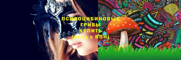 spice Осинники