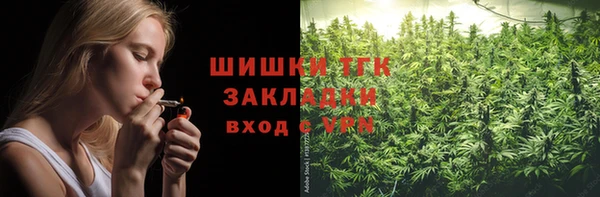 spice Осинники