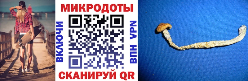 даркнет официальный сайт  купить наркотики цена  Белоярский  Псилоцибиновые грибы Magic Shrooms 